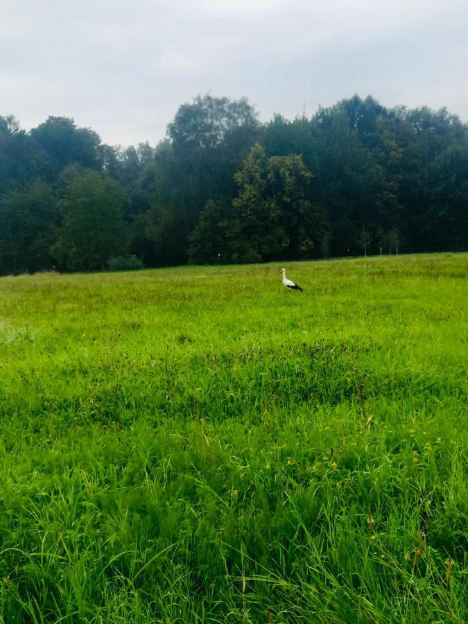 Romantyczna Chatka Villa Pisarzowice  Buitenkant foto