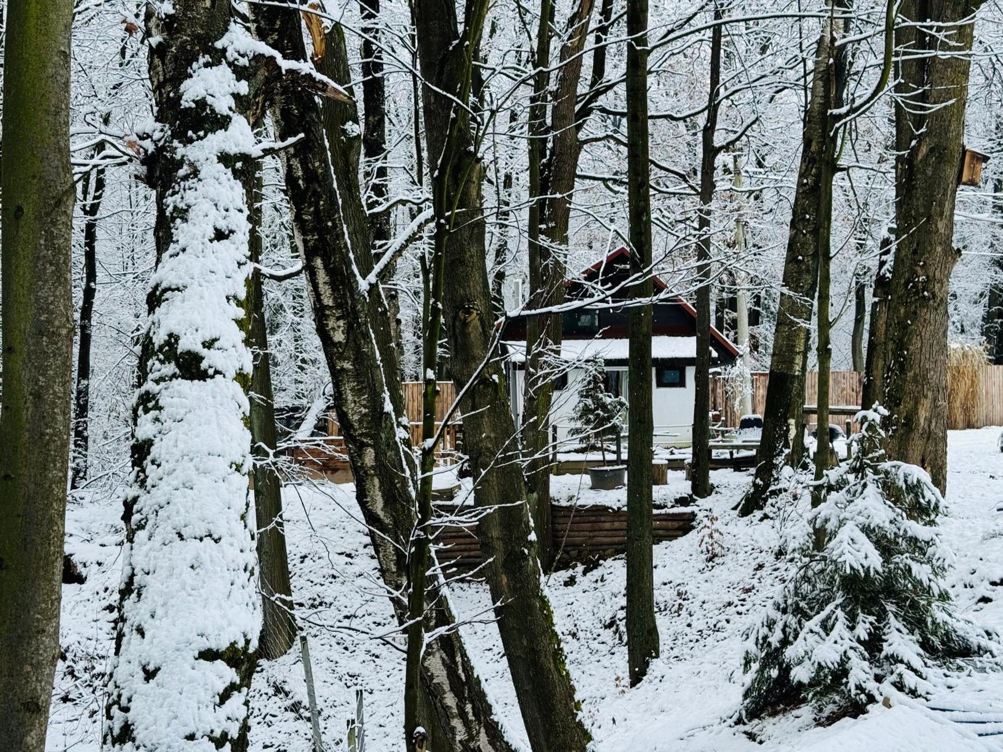 Romantyczna Chatka Villa Pisarzowice  Buitenkant foto